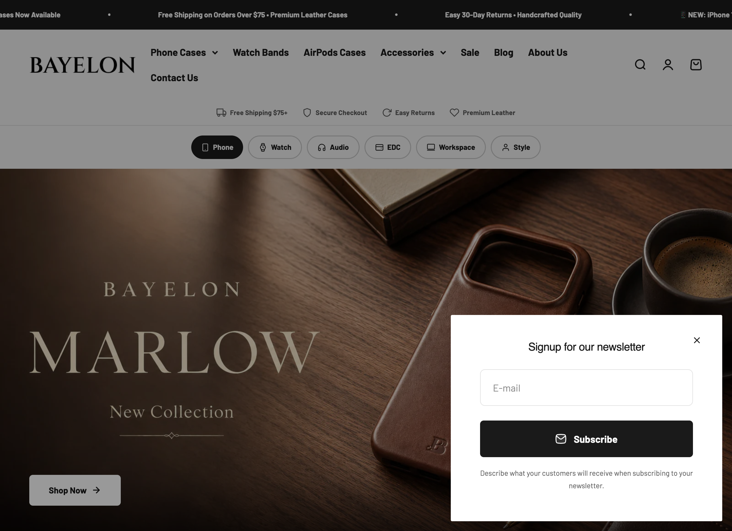 Bayelon storefront, desktop view